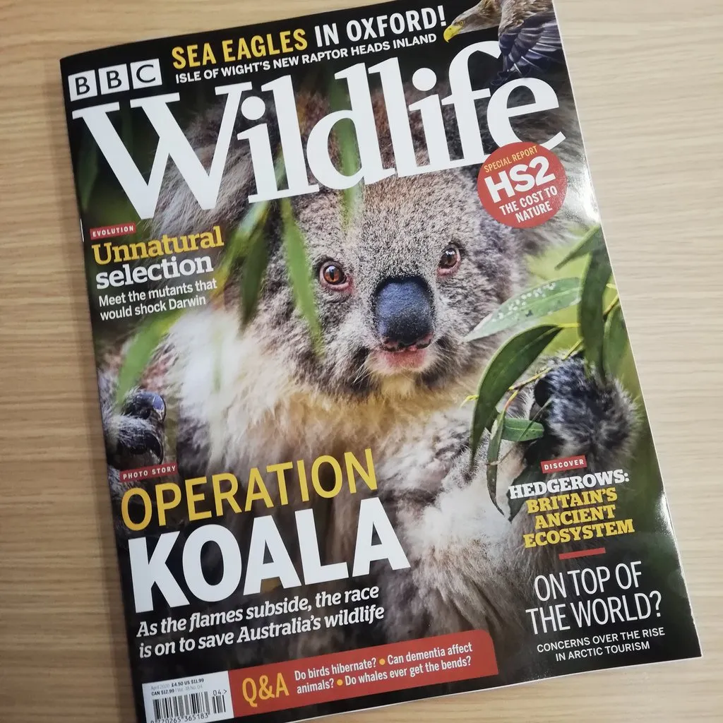 The Spring issue of BBC Wildlife