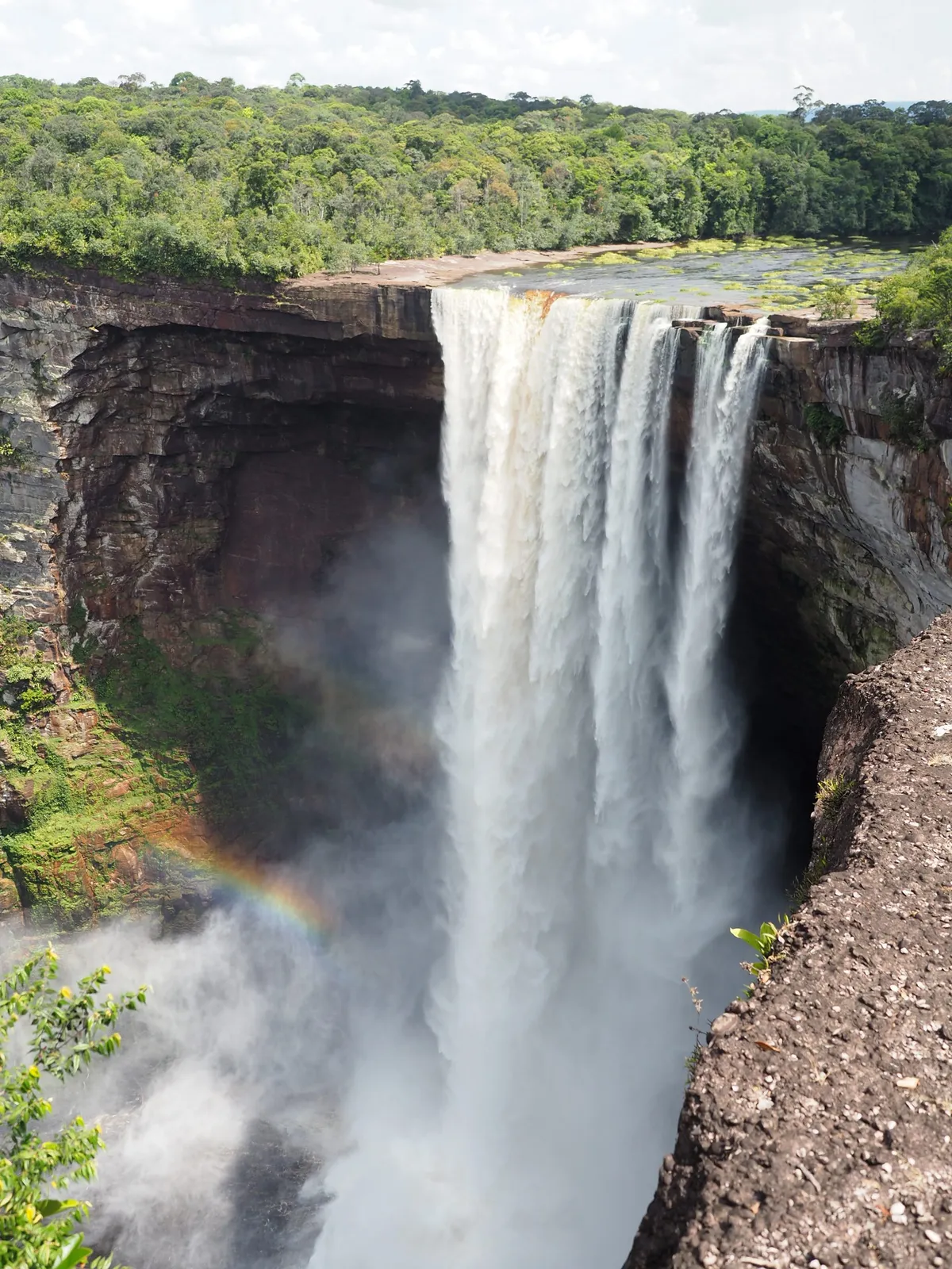 Kaieteur Falls. © Megan Shersby