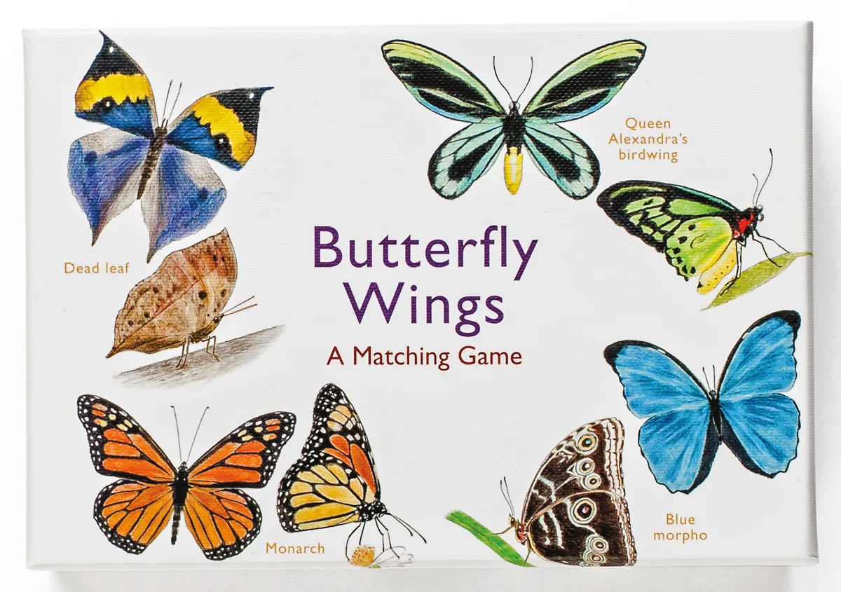 Butterfly Wings game 1