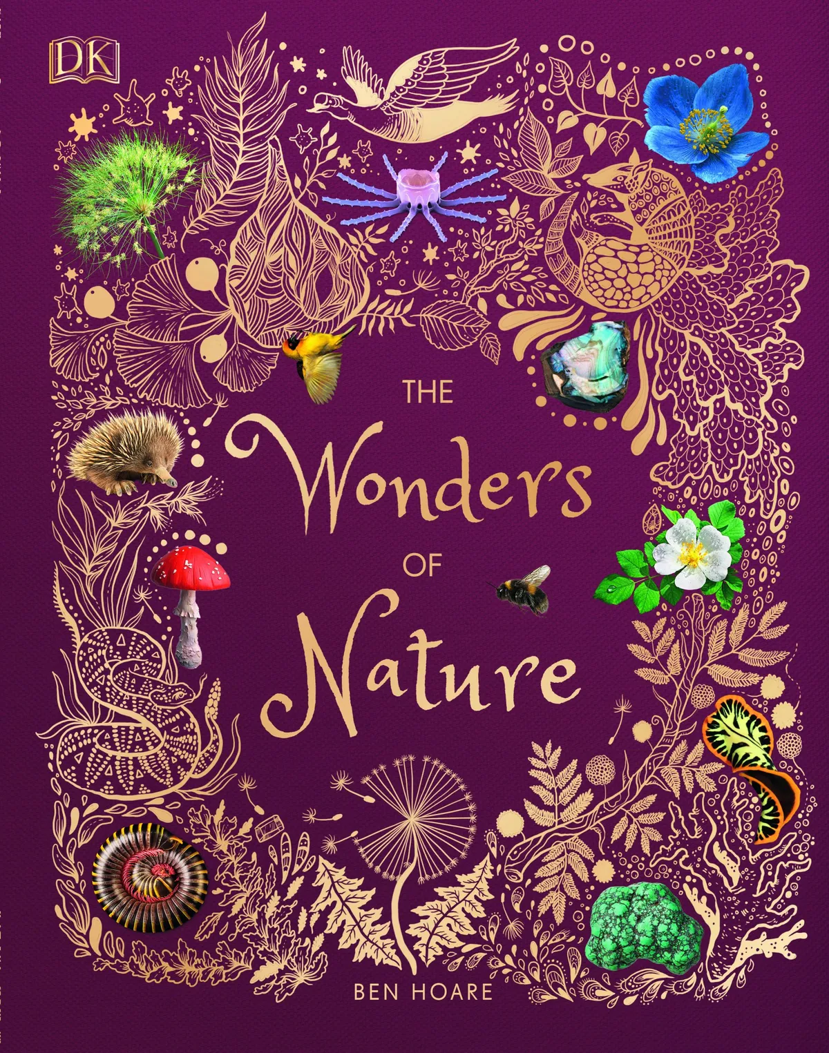 Nature Books For Children And Teenagers
