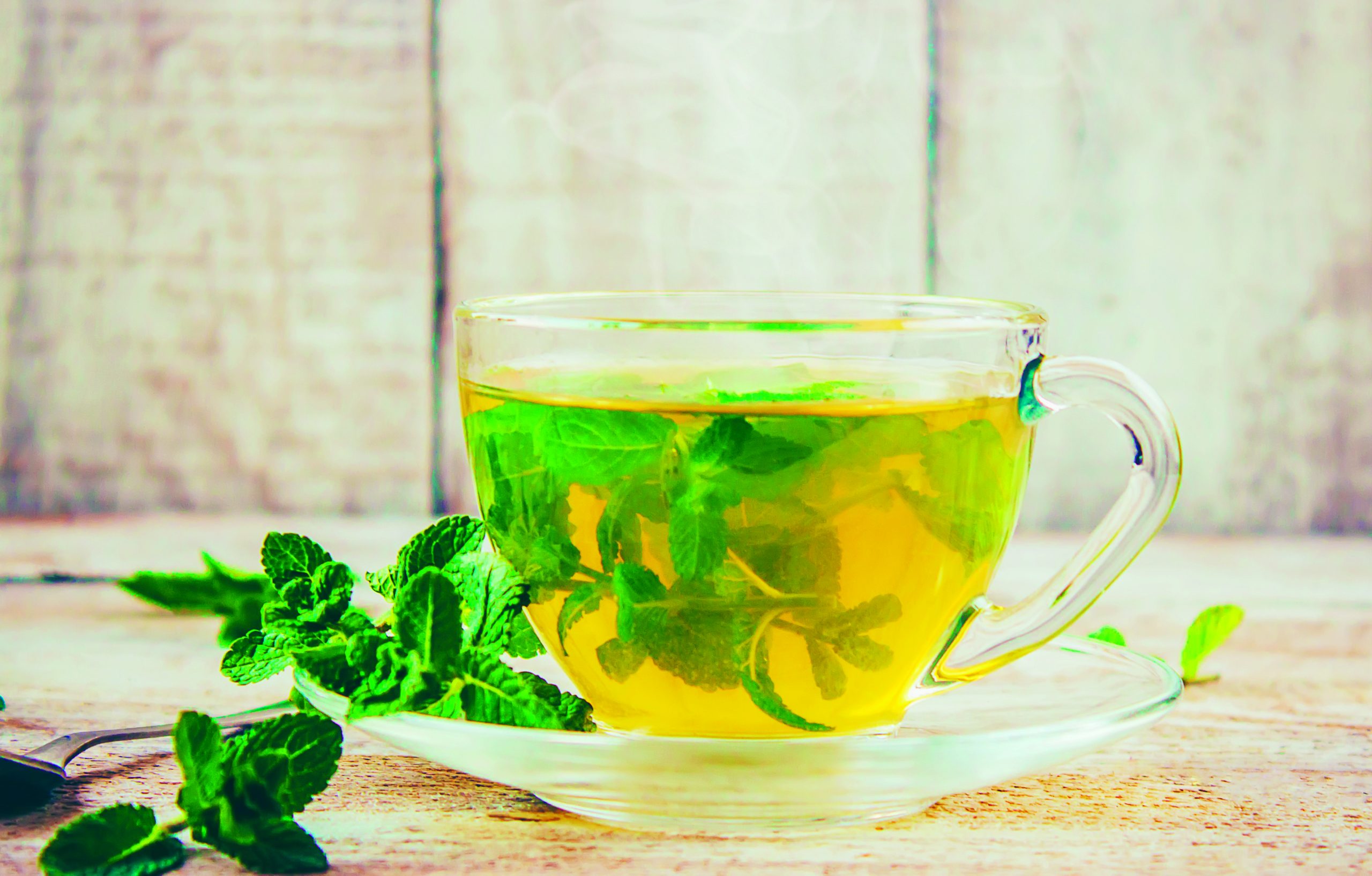 Water mint tea. © Tatevosian Yala/Shutterstock