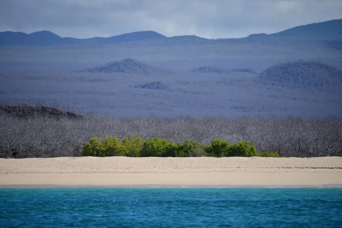Landscape Runner Up - Land Meets the Sea. © Stephen Lamb/Galapagos Conservation Trust
