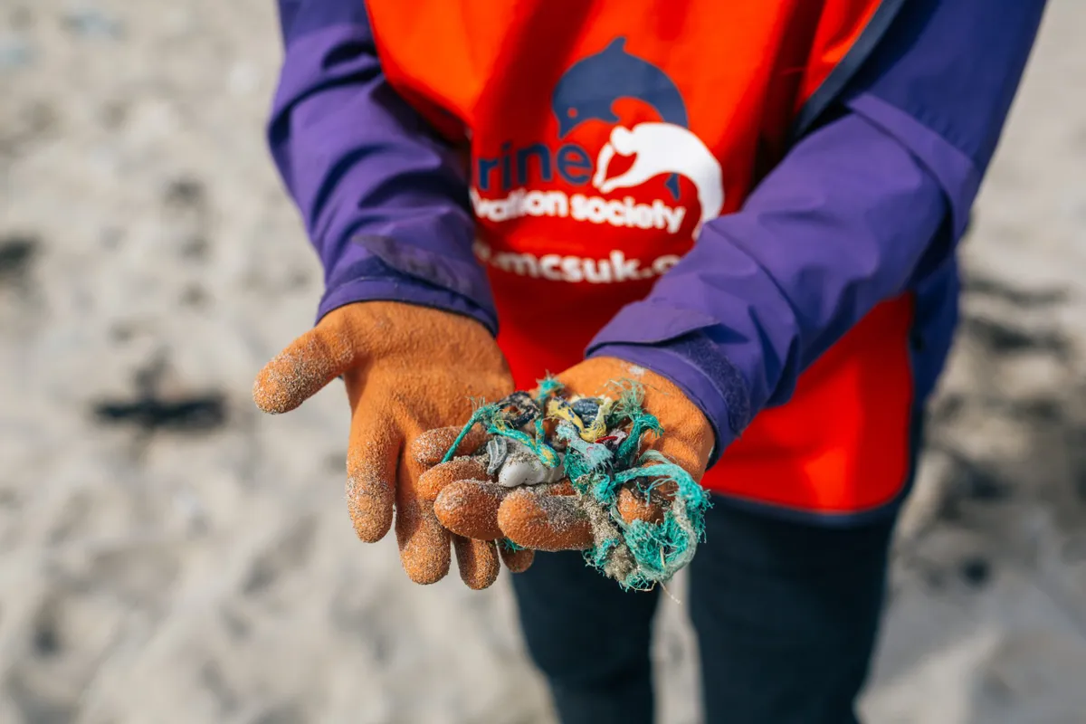 Person holding litter collected from a beach, MSC
