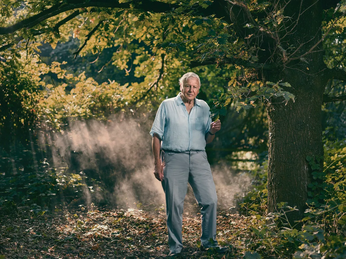 Sir David Attenborough. © Sam Barker/BBC