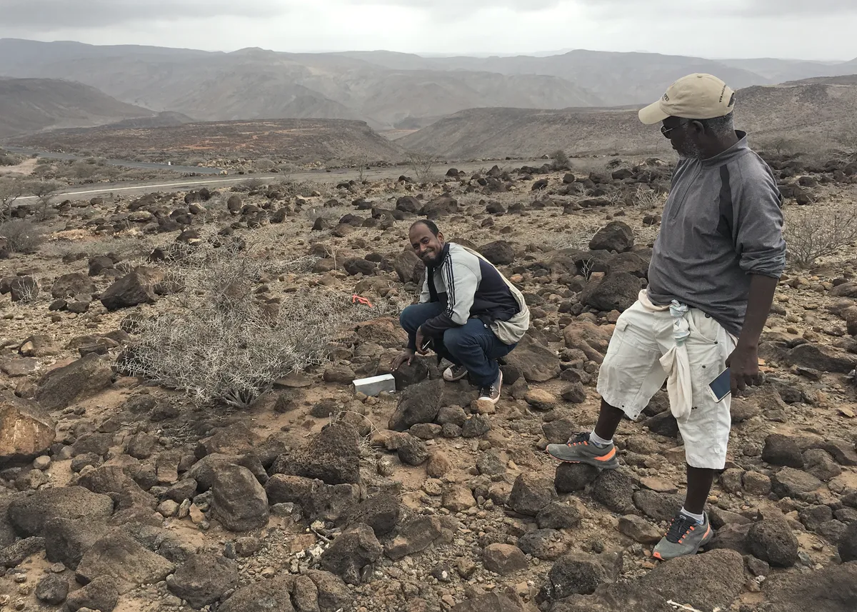 Undertaking fieldwork in Djibouti. © Steven Heritage