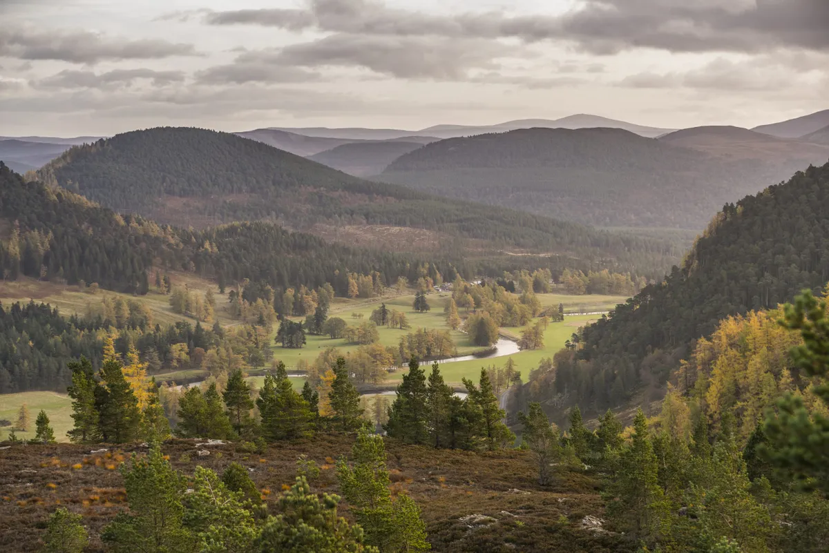 The Cairngorms national park/ Credit: Jakub Iwanicki, VisitScotland