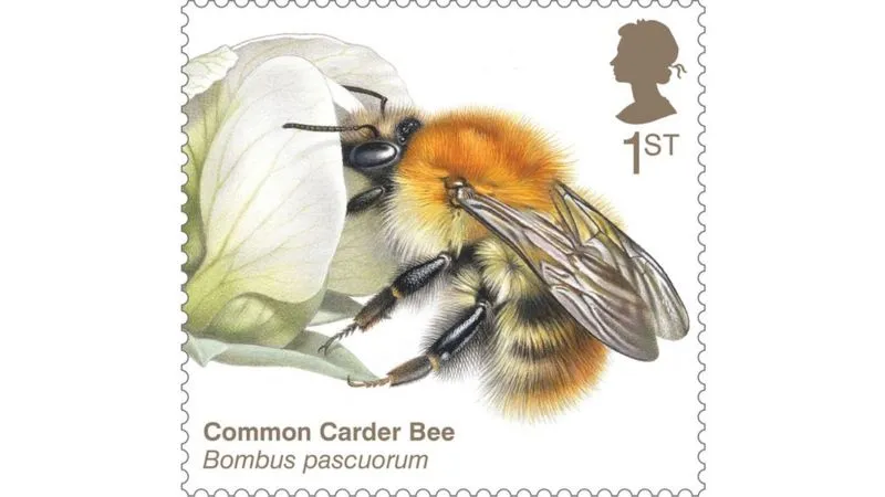 Common carder bee stamp. © Royal Mail
