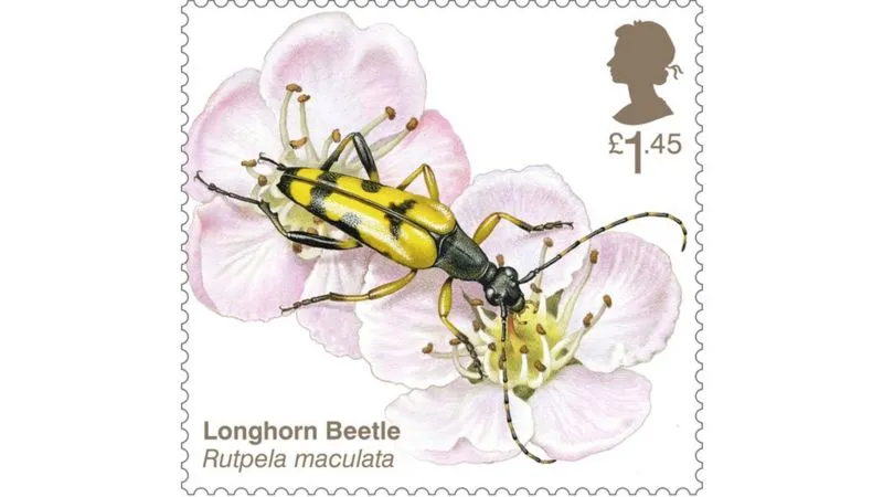 Longhorn beetle stamp. © Royal Mail
