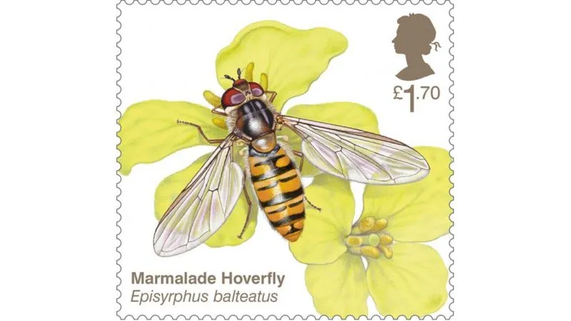 Marmalade hoverfly stamp. © Royal Mail