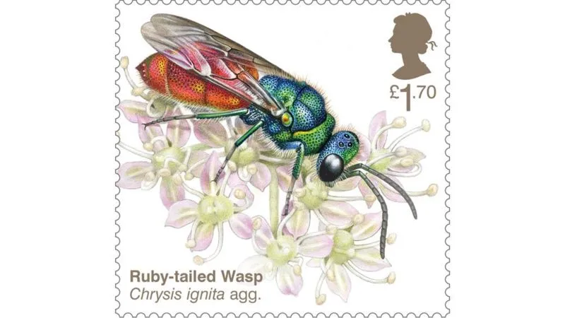 Ruby-tailed wasp stamp. © Royal Mail