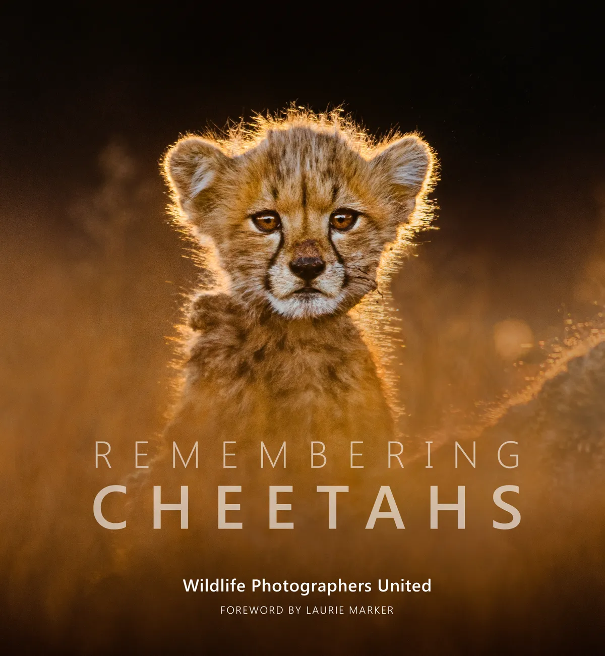 Cover of the Remembering Cheetahs book.