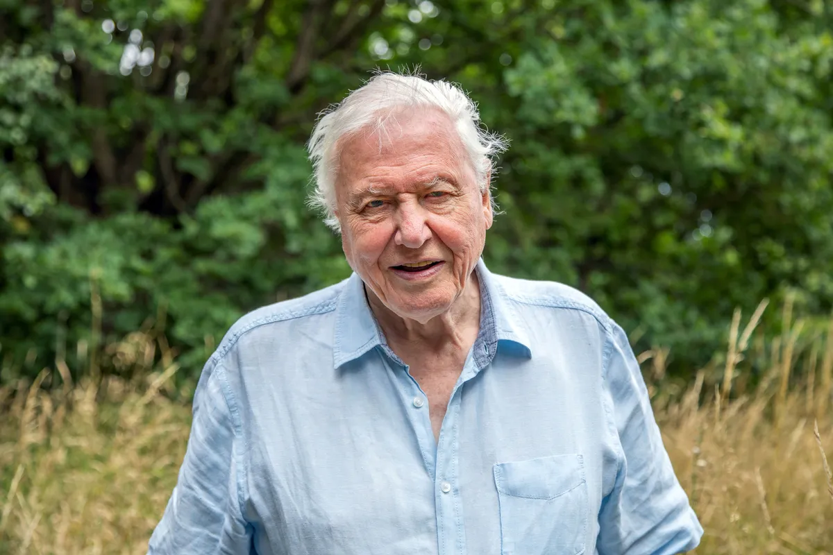 Sir David Attenborough. © Gavin Thurston/Silverback Films