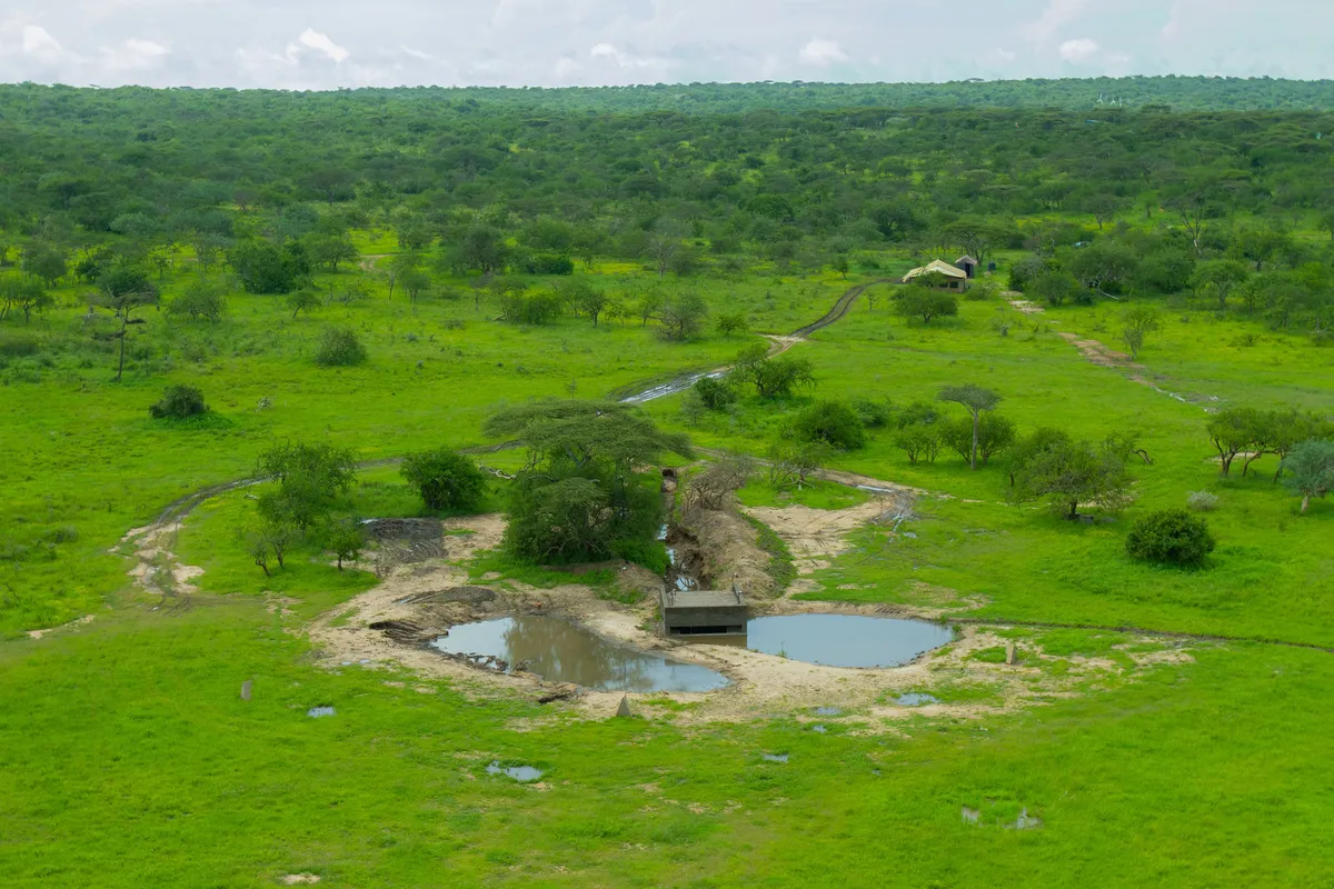 The landscape changes dramatically between the dry and rainy seasons. © Clare Jones/BBC NHU