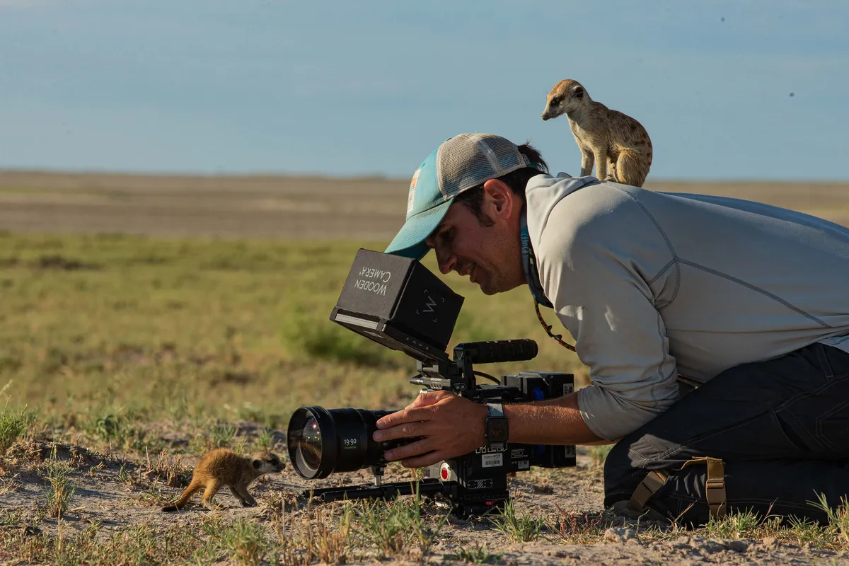 Behind the scenes: camera operator Tom Crowley makes a good vantage point for Dragonfly the meerkat to look for danger. © Greg Hartman