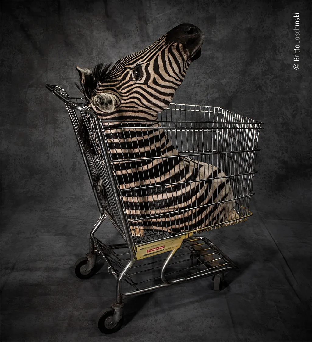 Licence to kill. © Britta Jaschinski (Germany)/Wildlife Photographer of the Year