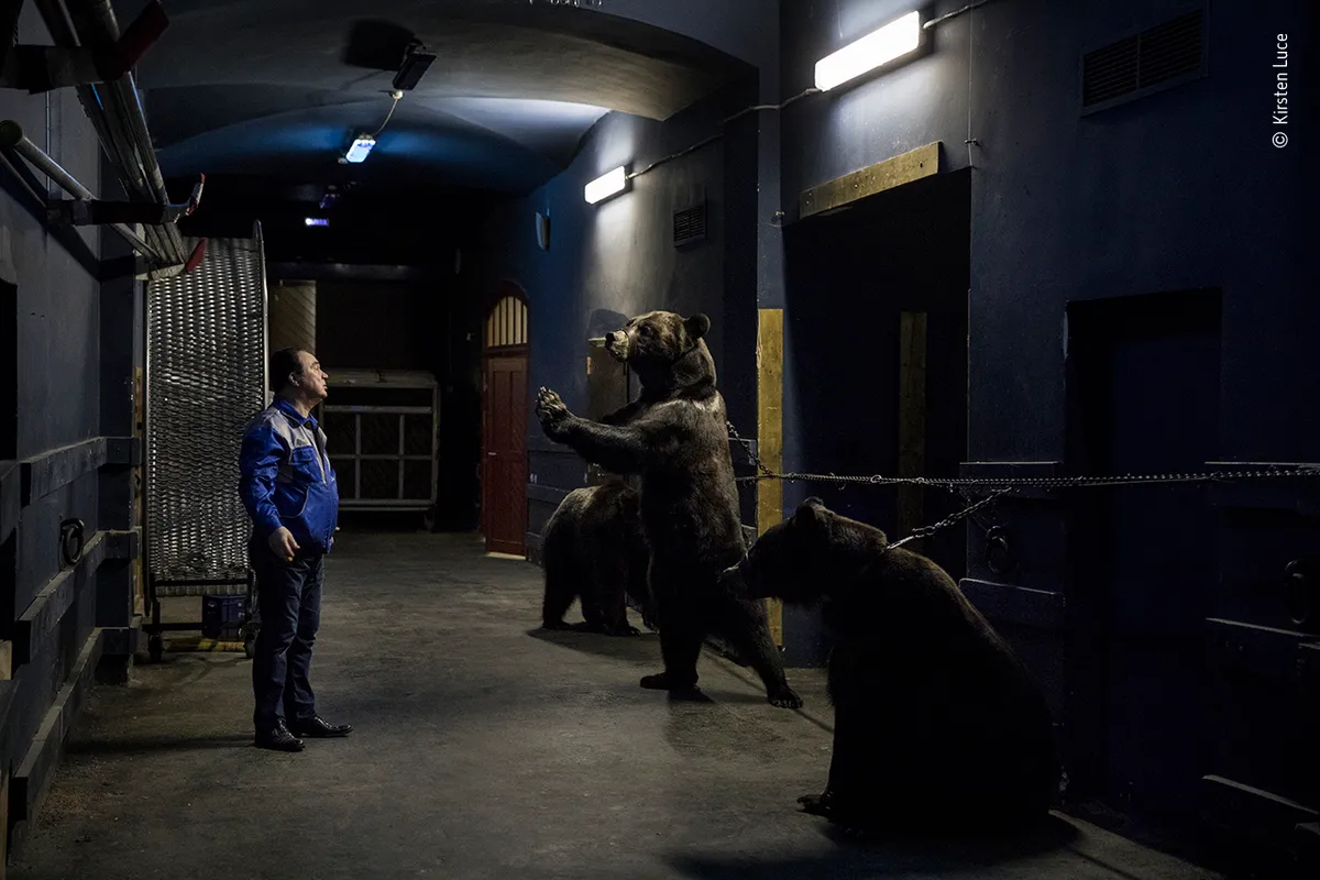 Backstage at the circus. © Kirsten Luce (USA)/Wildlife Photographer of the Year