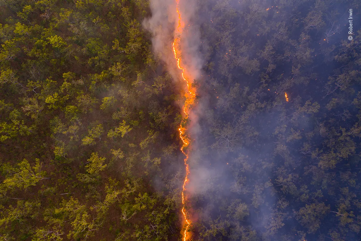 Bushfire. © Robert Irwin (Australia)/Wildlife Photographer of the Year