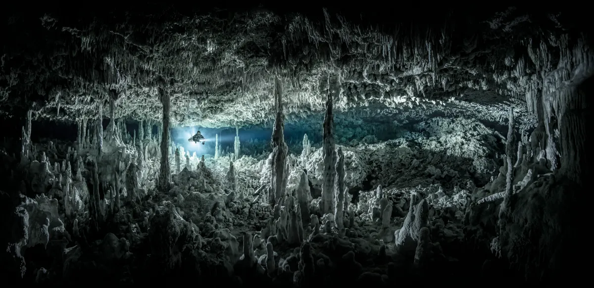 Wide angle category runner-up: Gothic Chamber, Mexico. © Martin Broen (USA)/Underwater Photographer of the Year 2021