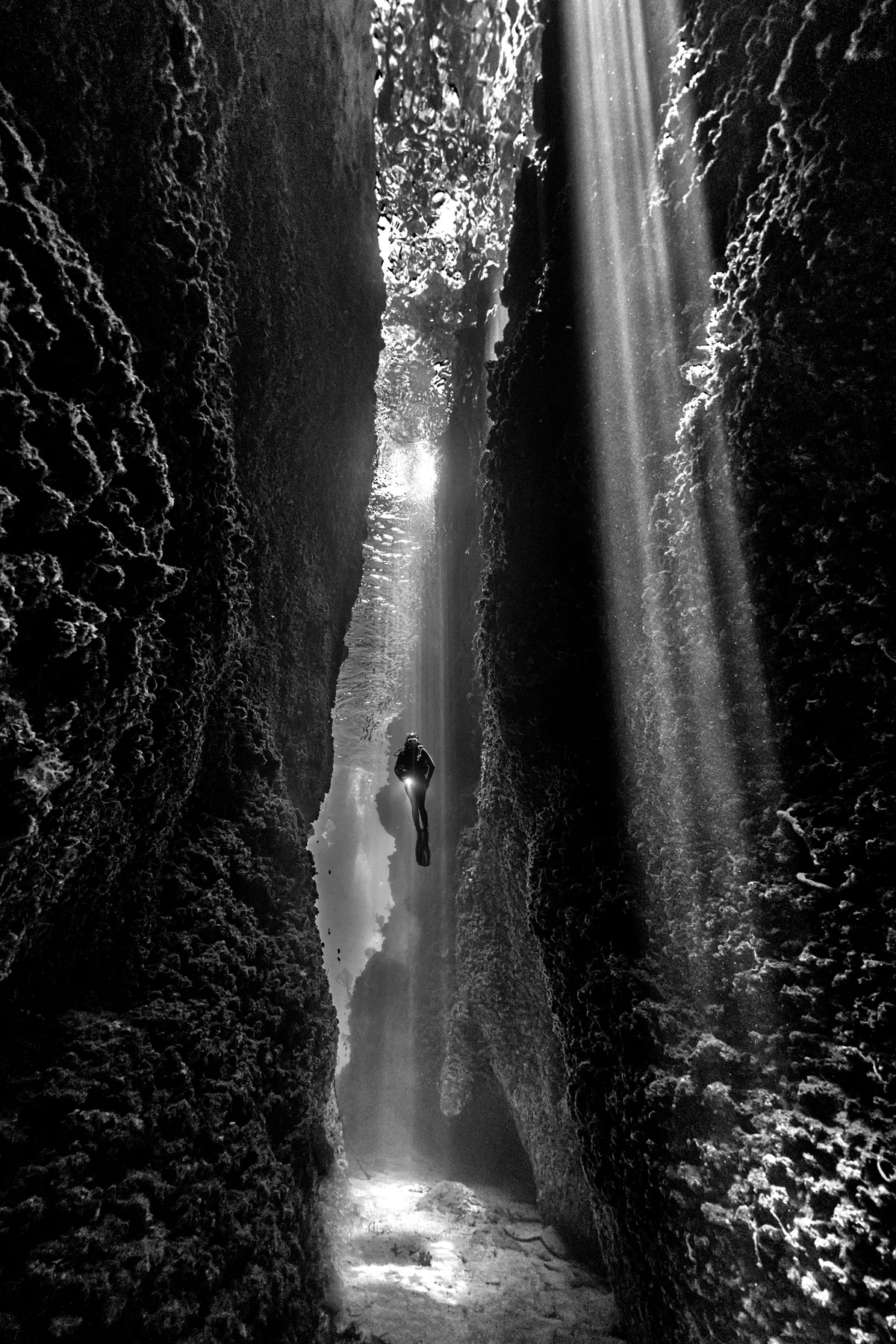 Black & White category winner: The Cut, Solomon Islands. © Diana Fernie (Australia)/Underwater Photographer of the Year 2021