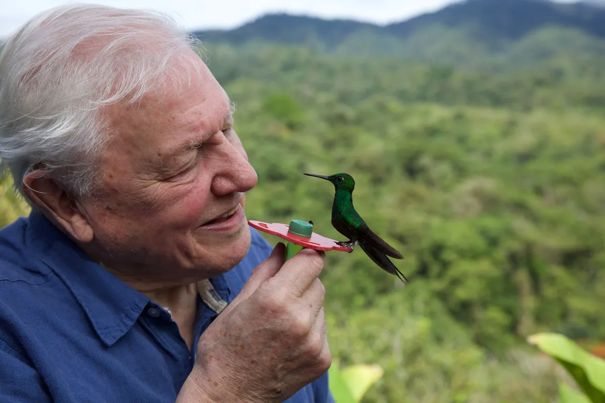 David Attenborough with hummingbirds in Costa Rica. © Gavin Thurston/BBC