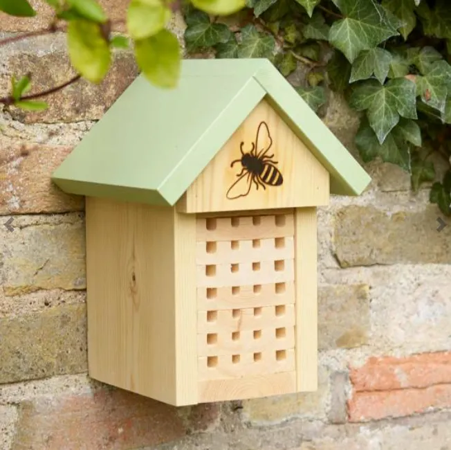 Solitary bee home