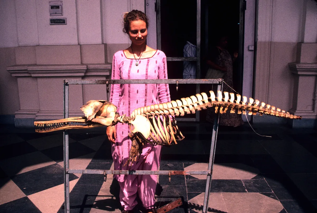 Gill Braulik with a river dolphin skeleton at the Indian Museum. © Gill Braulik