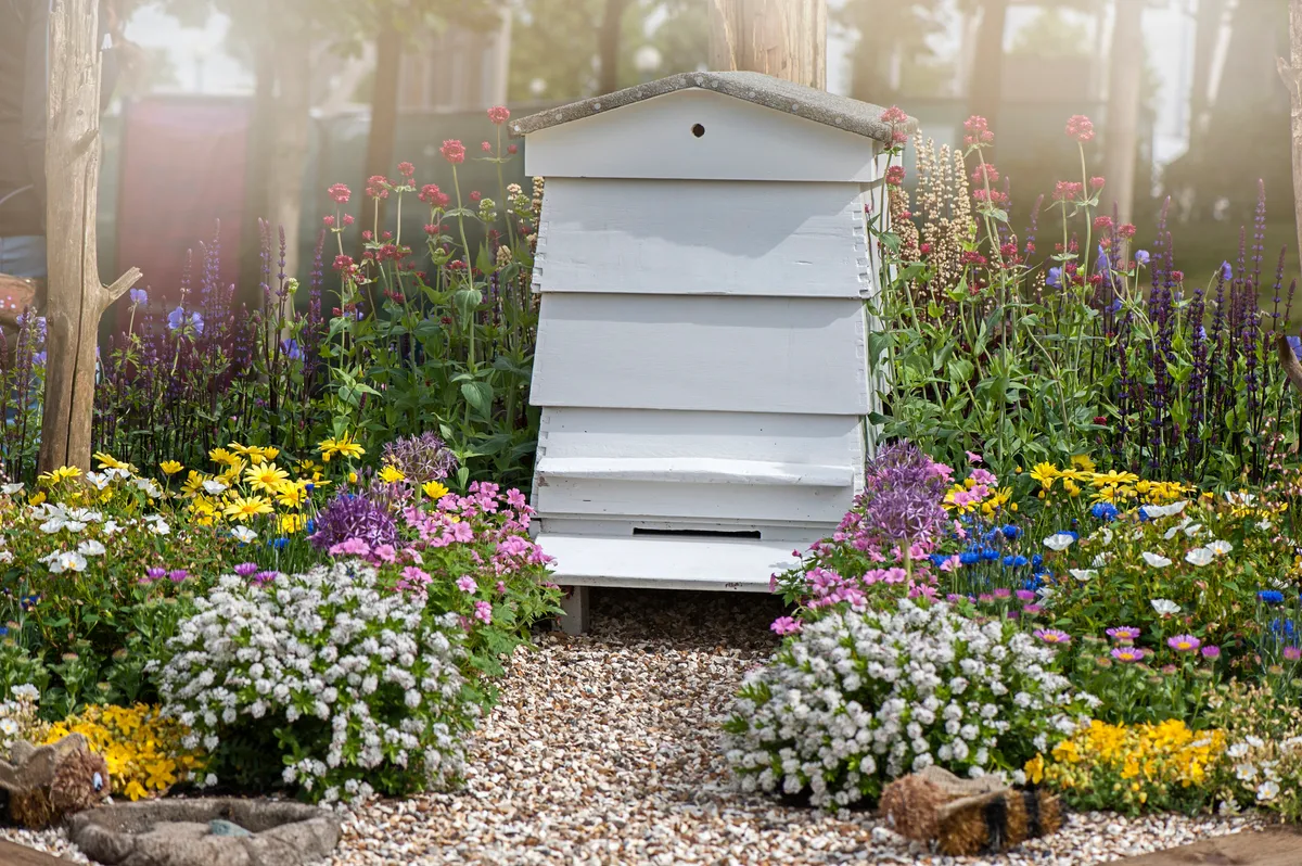 A honeybee hive in a garden. © Jacky Parker Photography/Getty