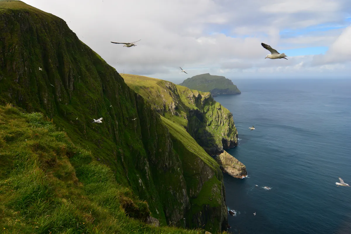 Birds flying above the ocean in St Kilda, UNESCO Heritage Site, Scotland, Getty
