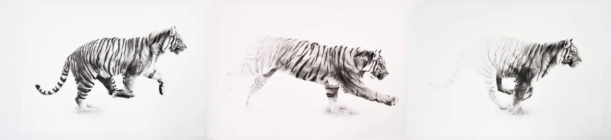 Facing Extinction category winner: Running Towards Extinction, by Cole Stirling