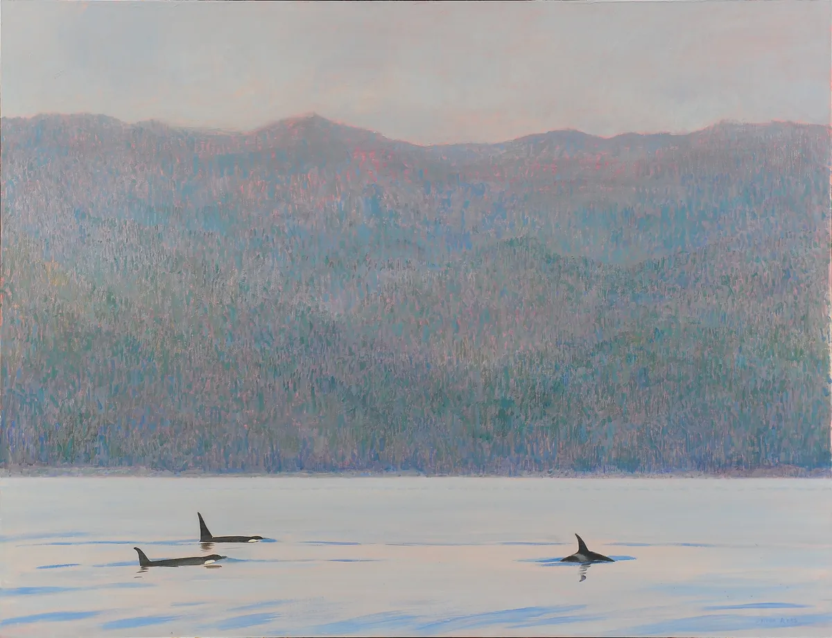 Overall winner: Orcas, Blackfish Sound, by Darren Rees.