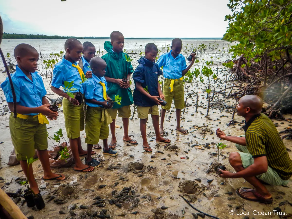 Marine Scouts learning about mangroves. © Land Ocean Trust