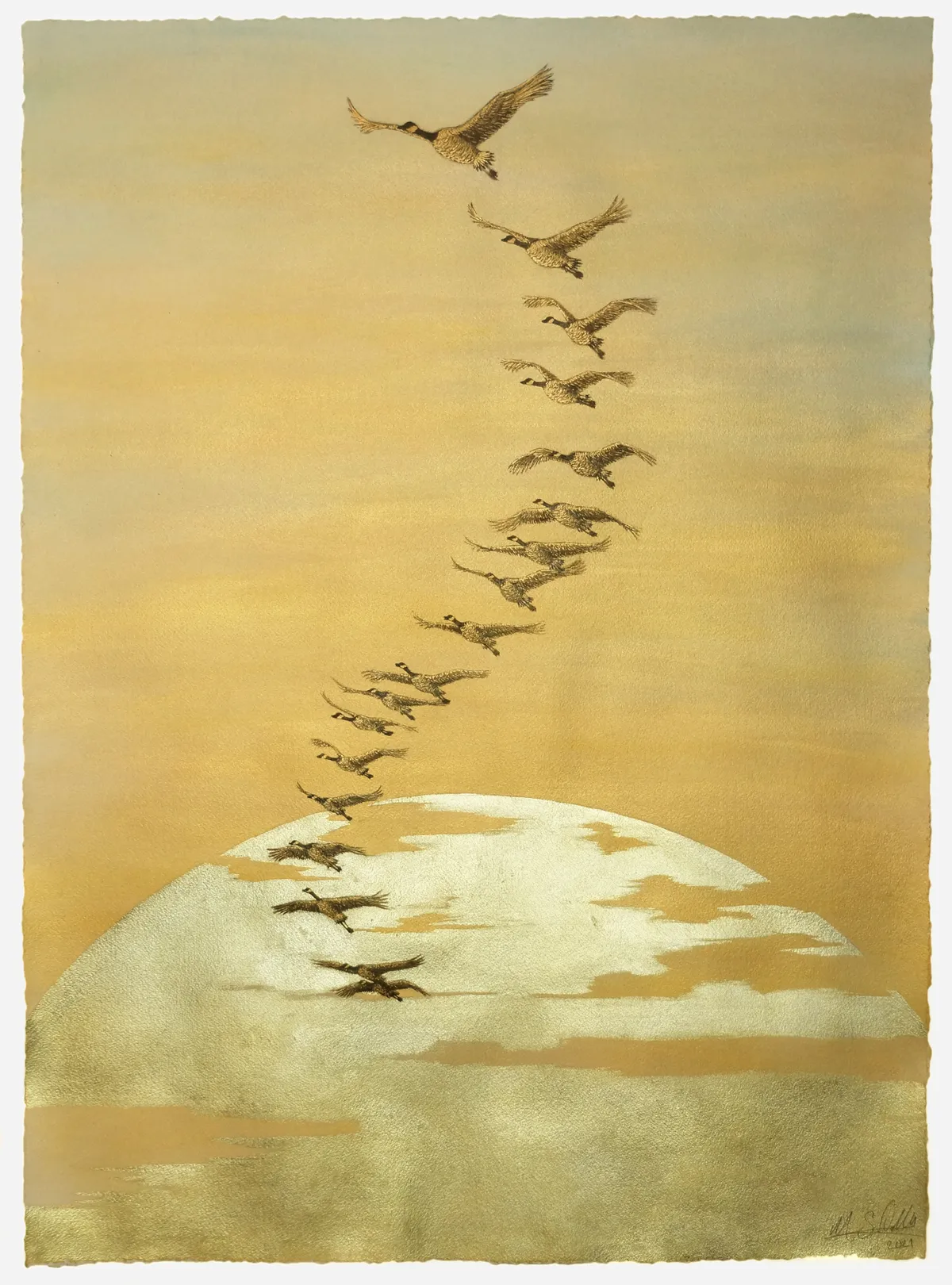 Wings category winner: Migration, by Matthew Polluk.