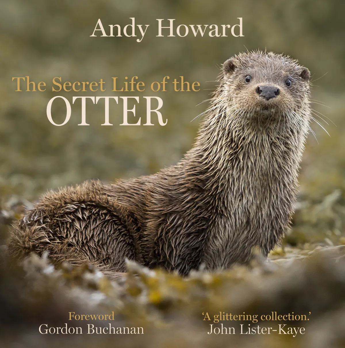 Secret Life of the Otter, by Andy Howard. Published by Sandstone Press.