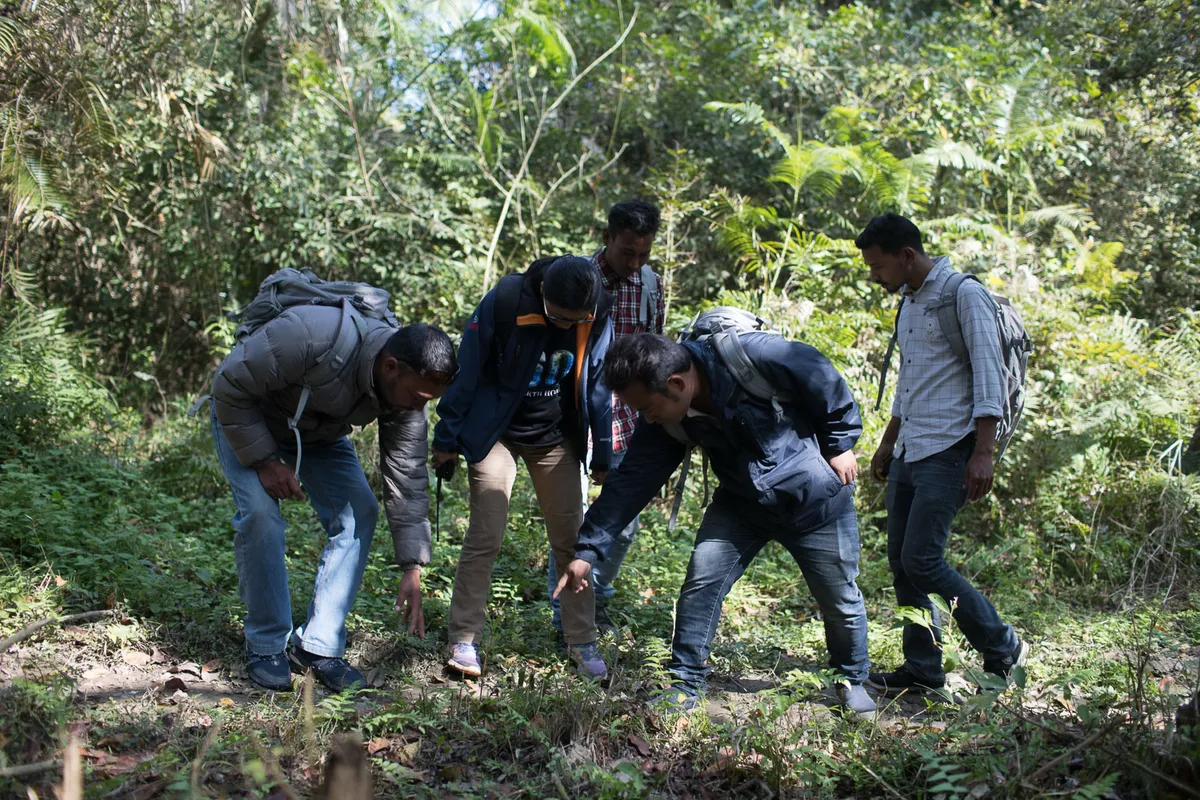 Sabita Malla (front), tiger expert at WWF Nepal, is walking with citizen scientists (Santos Tharu, Khakendra Thapa, Chain Kumar, Chhabi Thara Magar) responsible for monitoring tigers in the Khata Corridor. Here they inspect tiger tracks. © Emmanuel Rondeau