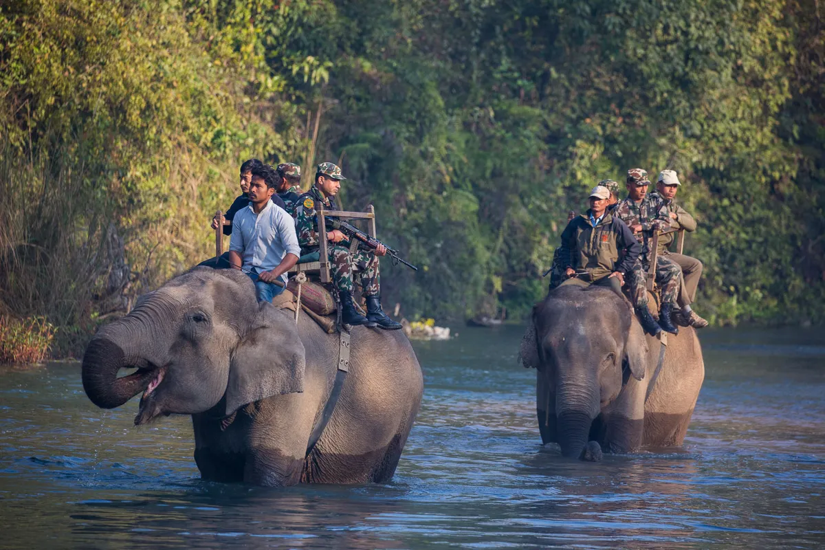 Anti-poaching teams travelling by elephant in Nepal. © Emmanuel Rondeau