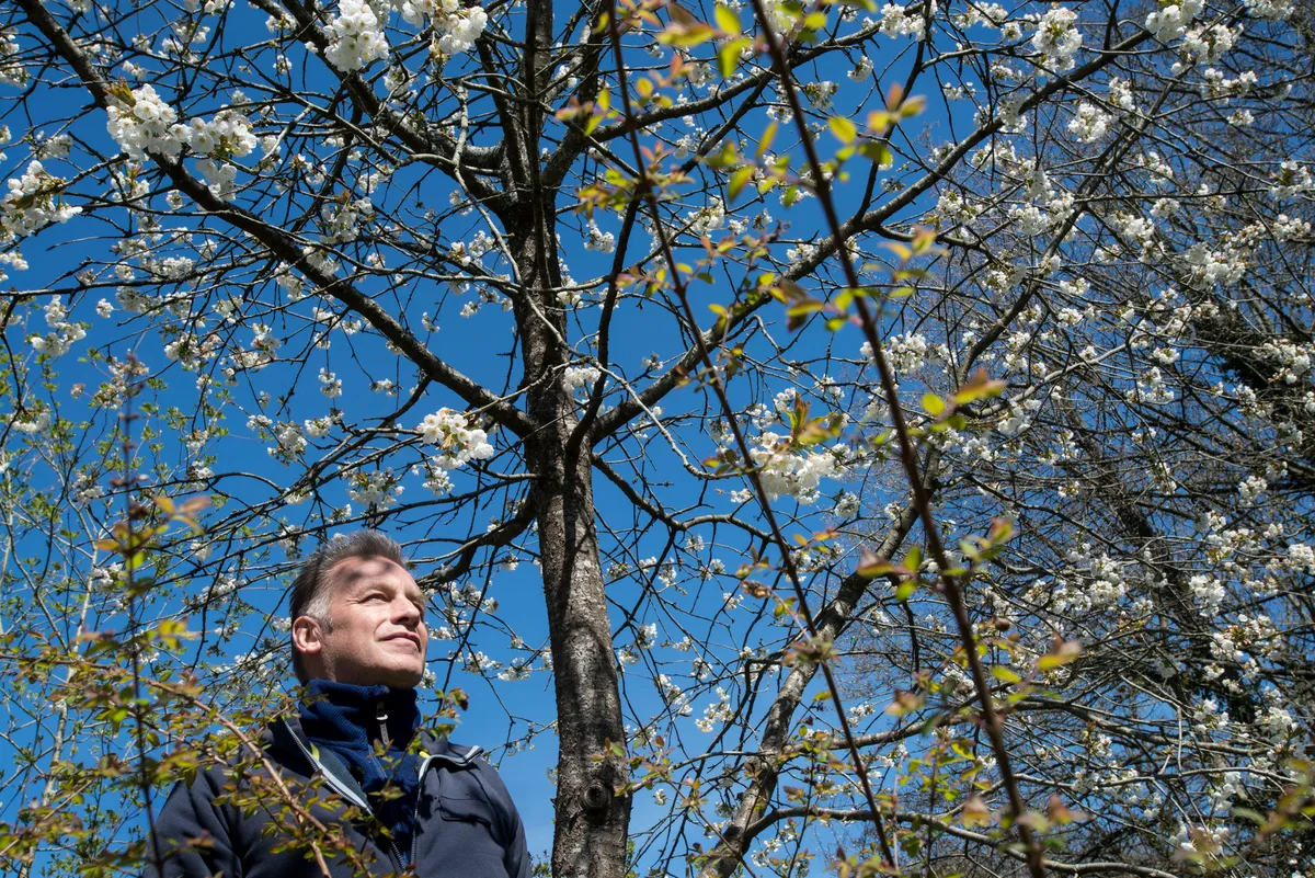 Chris Packham framed by blue skies and blossom on his spring walk. © Tim Smith/Atypical Media Ltd/BBC