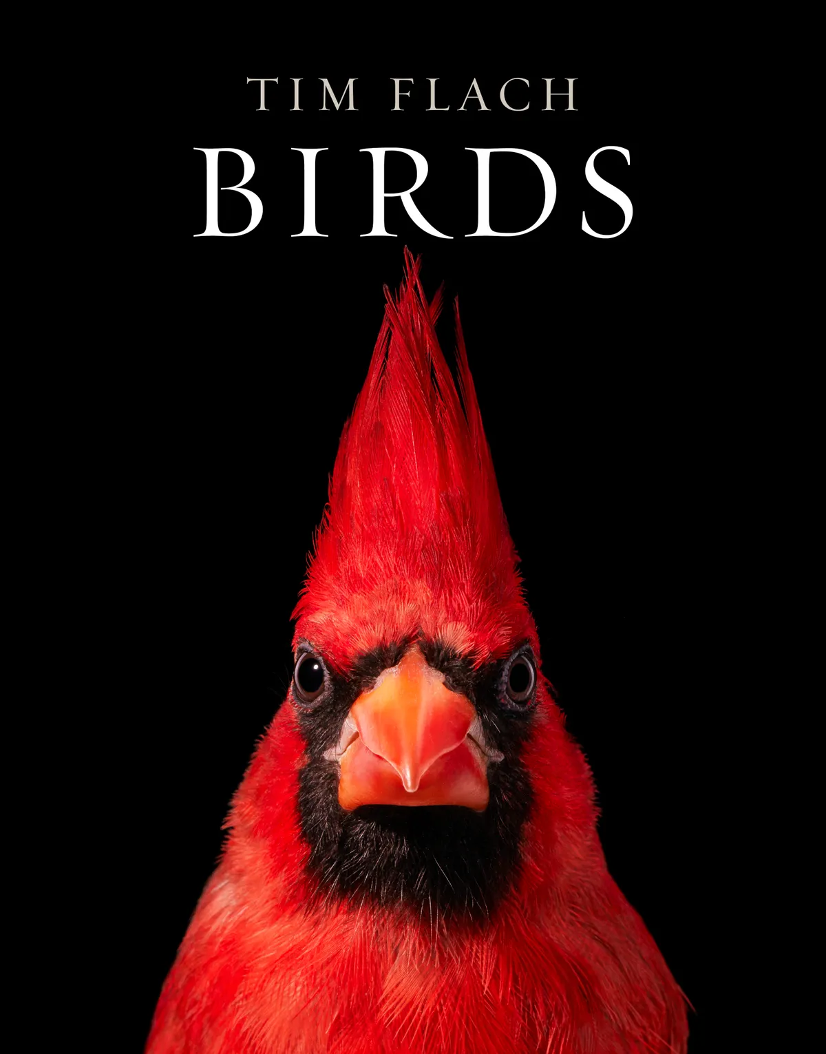 Cover of Birds by Tim Flach. © 2021 Tim Flach