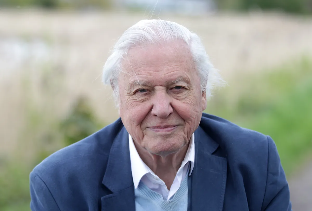 Sir David Attenborough looking straight into the camera, wearing a navy suit (but no tie and top shirt button undone)