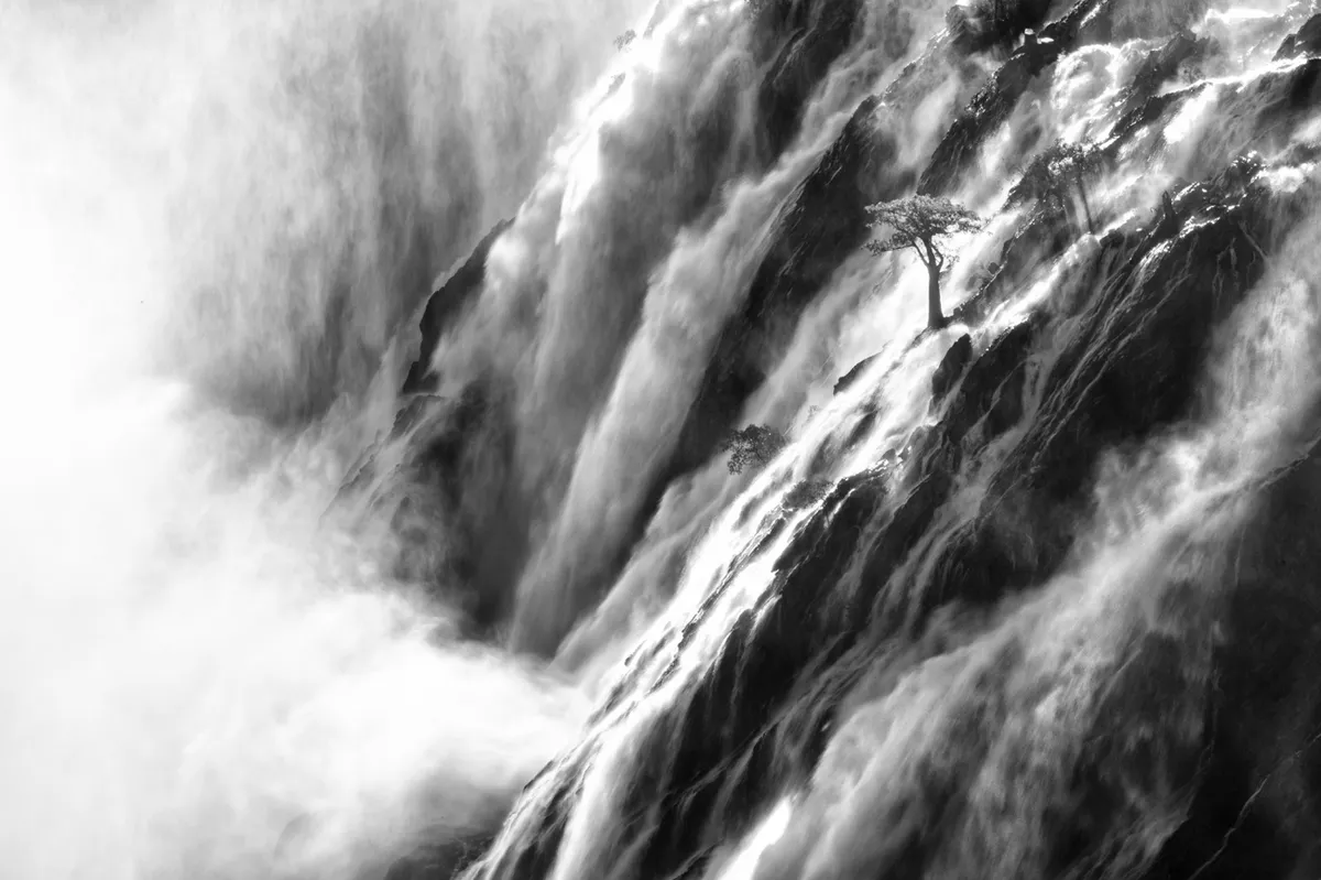 Black and white photograph of a huge waterfall lit by sunlight. Among the waters, a small baobab trees grows on a rocky outcrop.