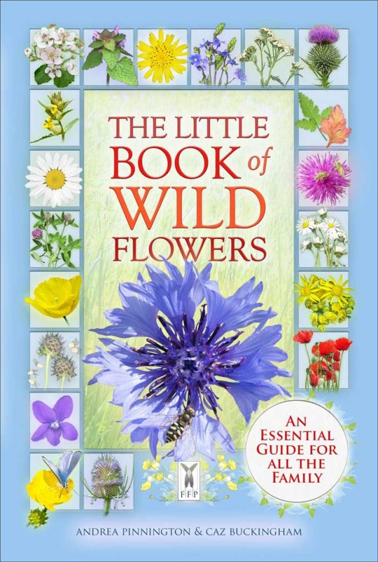 The Little Book Of Wild Flowers jacket