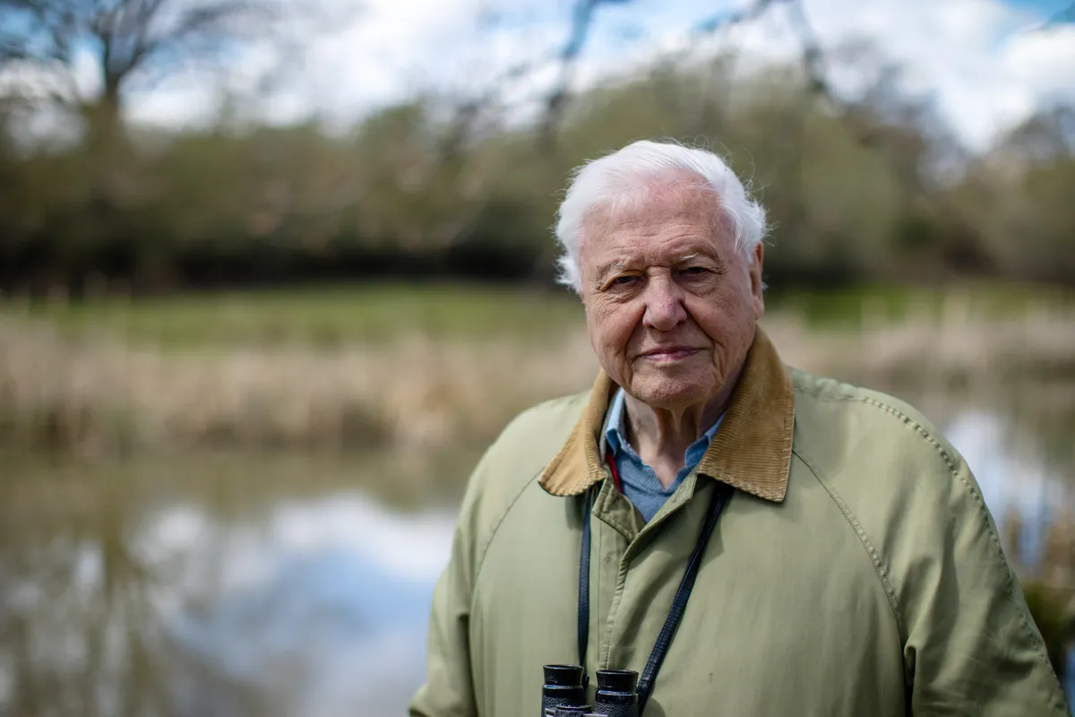 Sir David Attenborough looks into the camera, with a pair of binoculars around his neck. Background of a lake and trees.