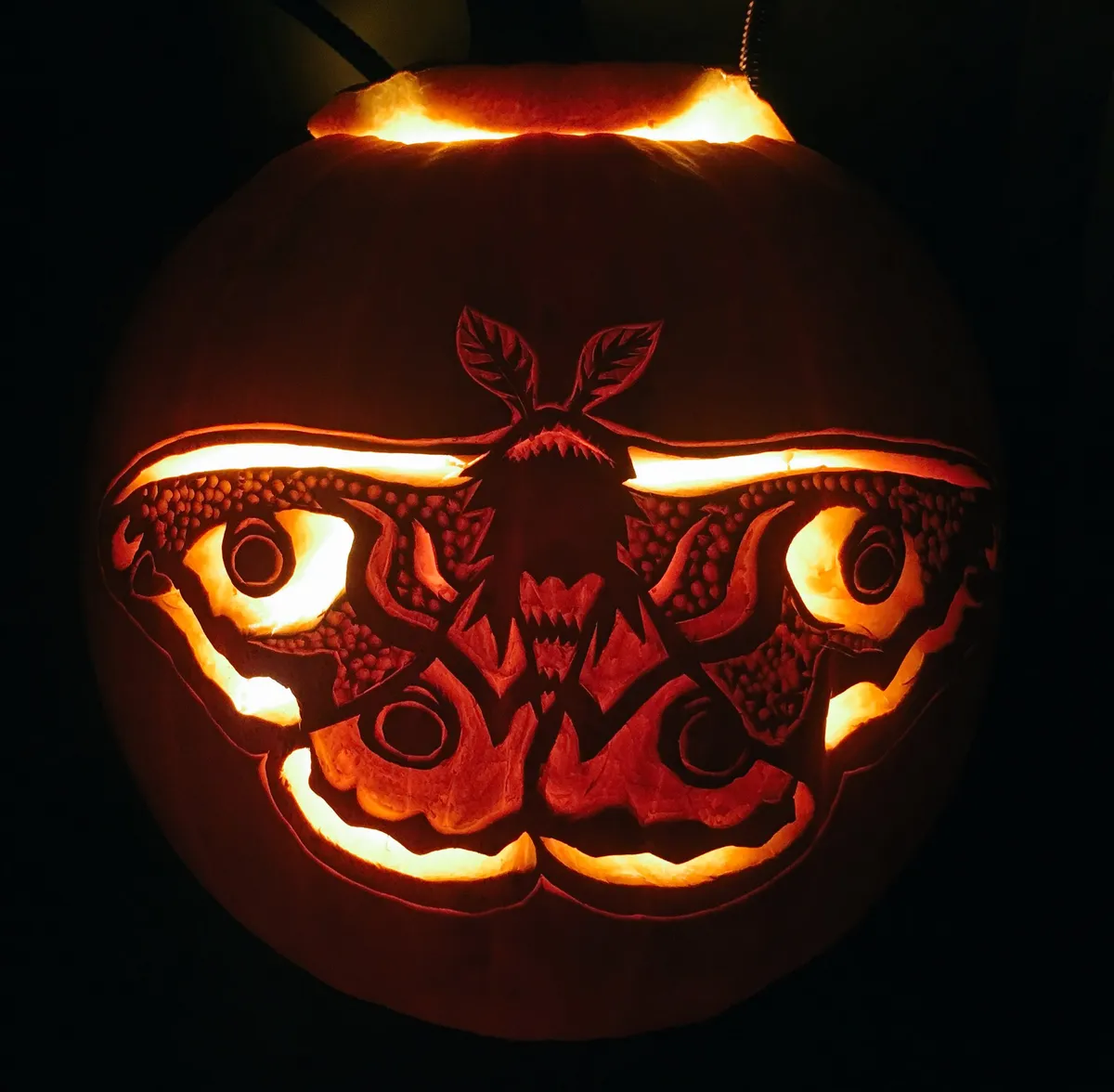 A pumpkin in darkness, light up from within to show the carving of an emperor moth.
