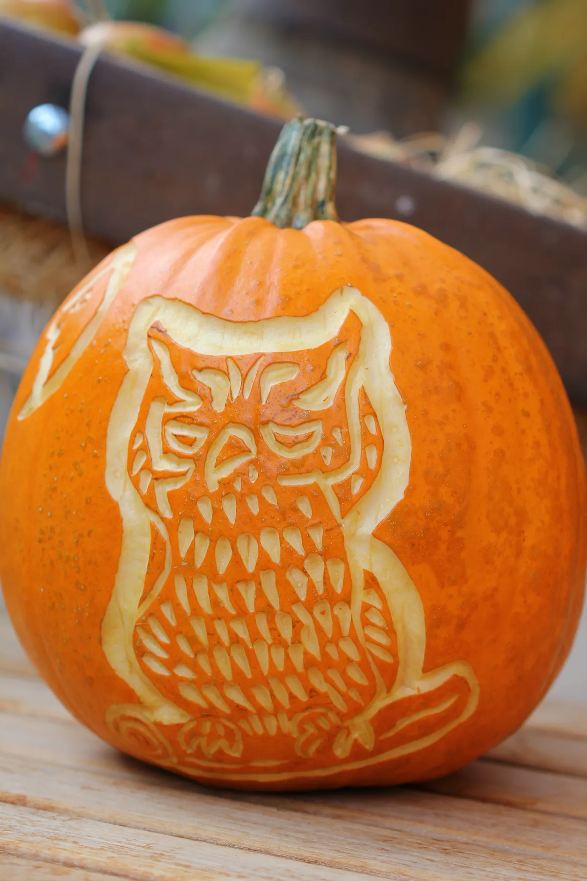 A pumpkin in daylight and not lit up, with an owl carved partially into the skin.