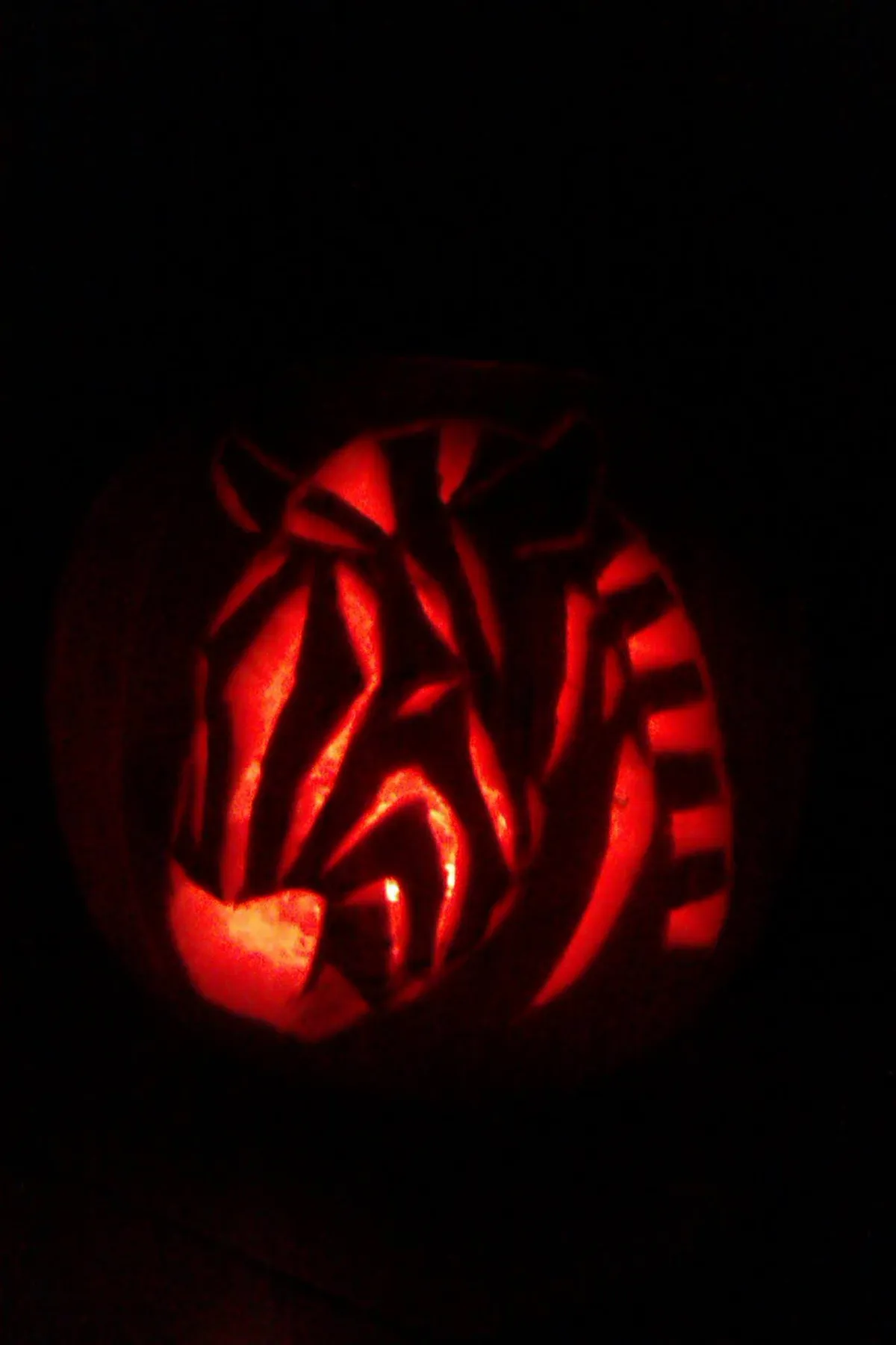 A pumpkin in the dark, lit up from within, showing a zebra's head pattern carved into the pumpkin