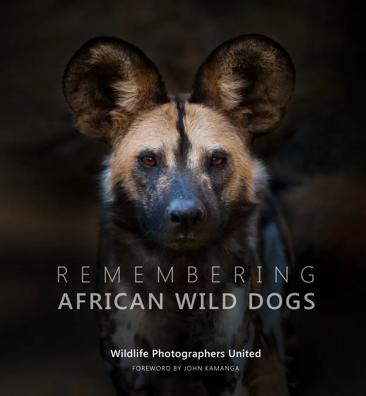 Remembering African Wild Dogs_lge