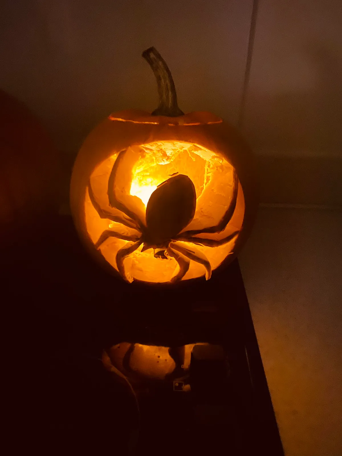 A pumpkin in darkness, lit up from within to show the spider carving.