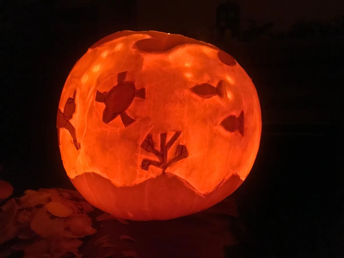 A pumpkin in darkness, lit up from within to show the carving of an underwater scene including seaweed, a turtle, the edge of a scuba diver, and fish.
