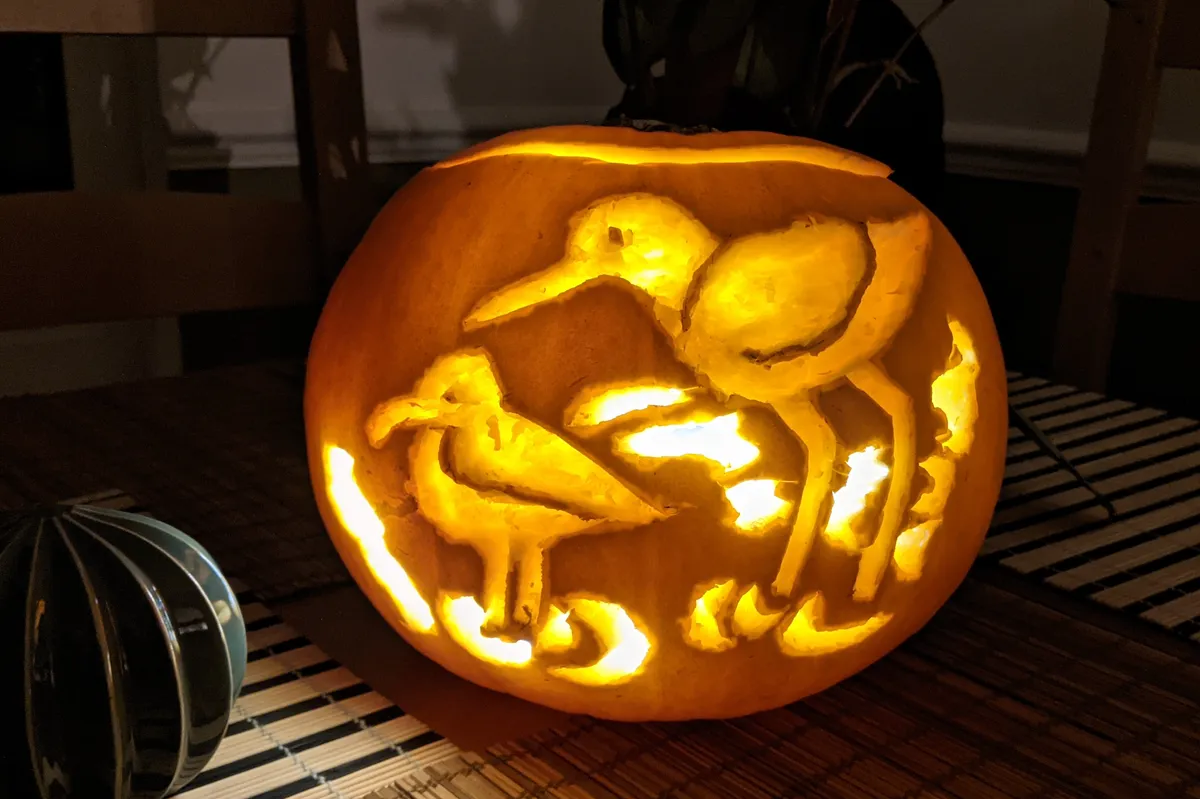 A pumpkin in partial darkness, lit up from within to show the carving of two wading birds (one larger than the other) with water ripples around their feet