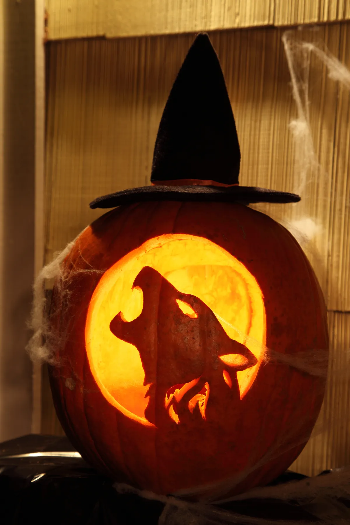A pumpkin in partial darkness in front of a wooden background, with some fake webbing and a little witches hat on top of the pumpkin. The pumpkin is illuminated from within, showing a howling wolf carving.