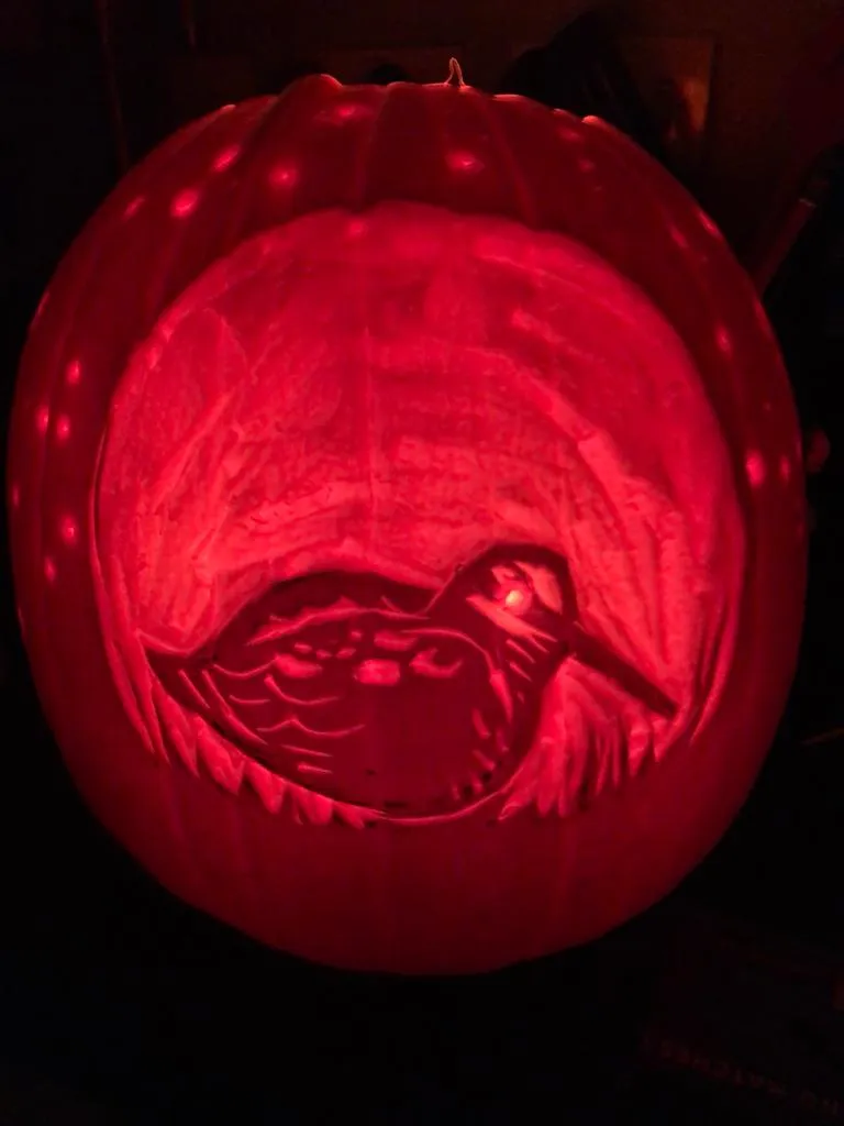 A pumpkin in darkness, lit up from within to show the carving of a woodcock crouched low among grass